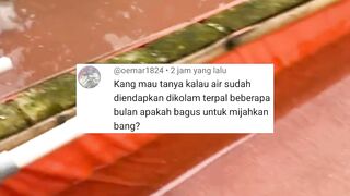 Air seperti ini JANGAN digunakan untuk PEMIJAHAN lele