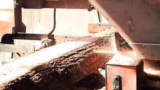 Wood Mizer