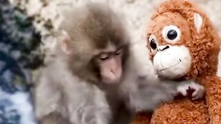 It’s Just A Toy To You. Not To Him ????