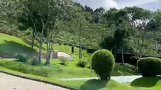 Beautiful environment 8