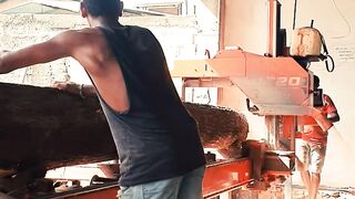 Wood Mizer 02