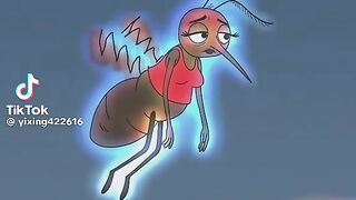 Mosquito Enter The Wrong House