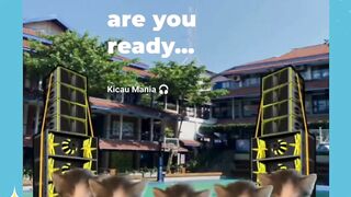 kicau mania????