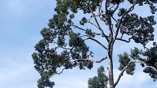 Pemandangan yang indah 9
