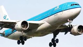 KLM Infolinia Polska | Jak dodzwonić się do KLM?