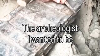 I have been collecting some precious treasure as an archeologist ????#catshots #trendingvideo #cats