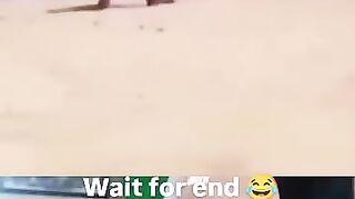 Funny videos 961