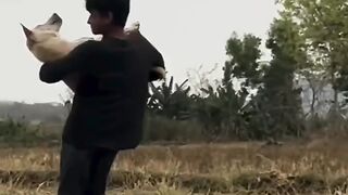 Funny videos 963