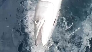 Sea fishing 2
