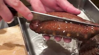Sea cucumber 2