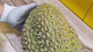 Durian 3