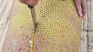 Jack fruit