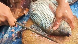 Fresh water fish 2