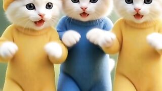 Cute Cat dance