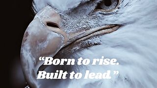 Be motivation