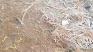 snow fall in winter season