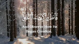 Islamic video
