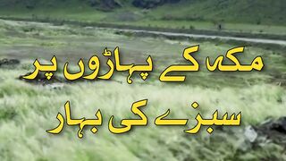 Makka ki Payton par sarsabzi