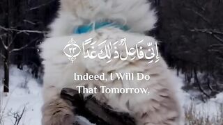 Tilawat Quran
