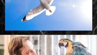 motivational poetry new