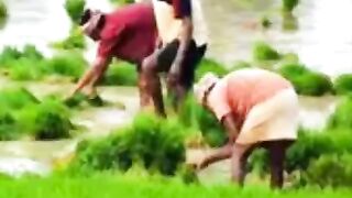 farming