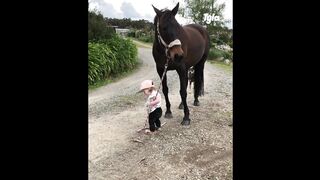 Friends animals