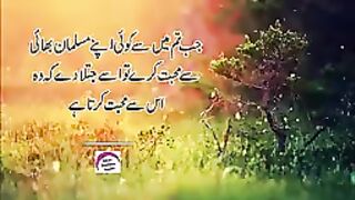 22 Hadees Pyare Nabi (SAW) Ki _ Rasool Pak (SAW) Hadees Collection In Urdu __144p.