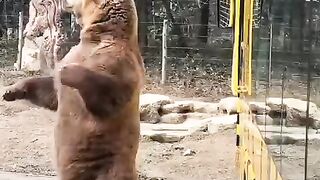 Funny video ???? 107