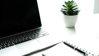 Minimalist Workspace with Laptop Notebook and Succulent