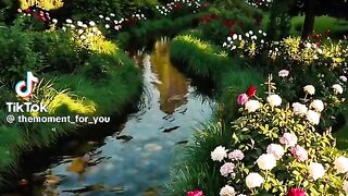 Beautiful Place Natural beauty 3