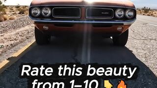 Watch till the end ????‍????