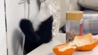 Unveiling the Hidden Danger Behind the Bedside Table"
