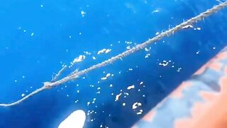 The moment I realized I’m not a professional releaser????????#release #funny #fail #fyp #wildlife