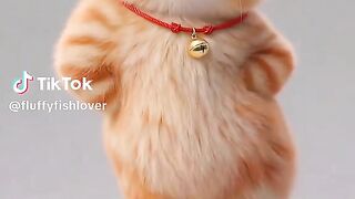 Dancing cat 8