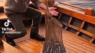 Sea Video