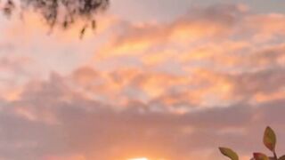 Beautiful nature 299