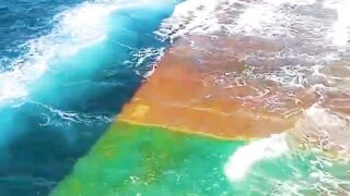 RAKSASA LAUT INI SENGAJA DITENGGELAMKAN? ????????
