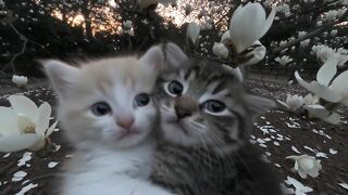 cuteeee 2