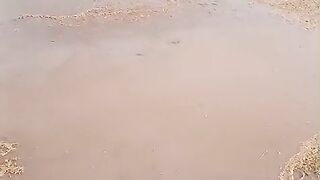 Heavy rain in our ground