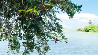 Lake view 2