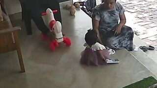 Funny videos 977