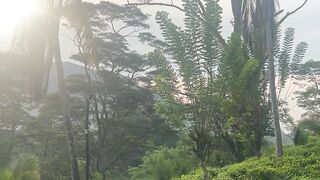Morning View 5