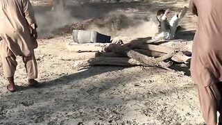 Funny videos 979