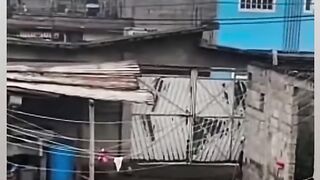 Funny videos 982