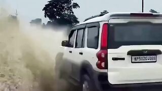 Funny videos 983