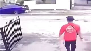 Funny videos 984