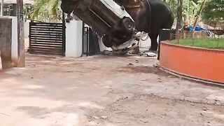 Elephant in chaos