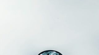 Mesmerizing Kinetic Art: Rotating Mechanical Flower with App Control