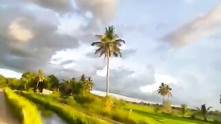 මගේ රට