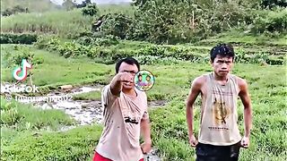 Funny videos 987